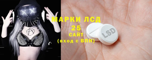шишки Алзамай