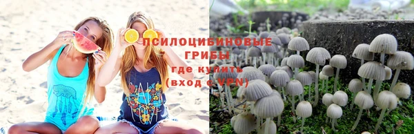 шишки Алзамай