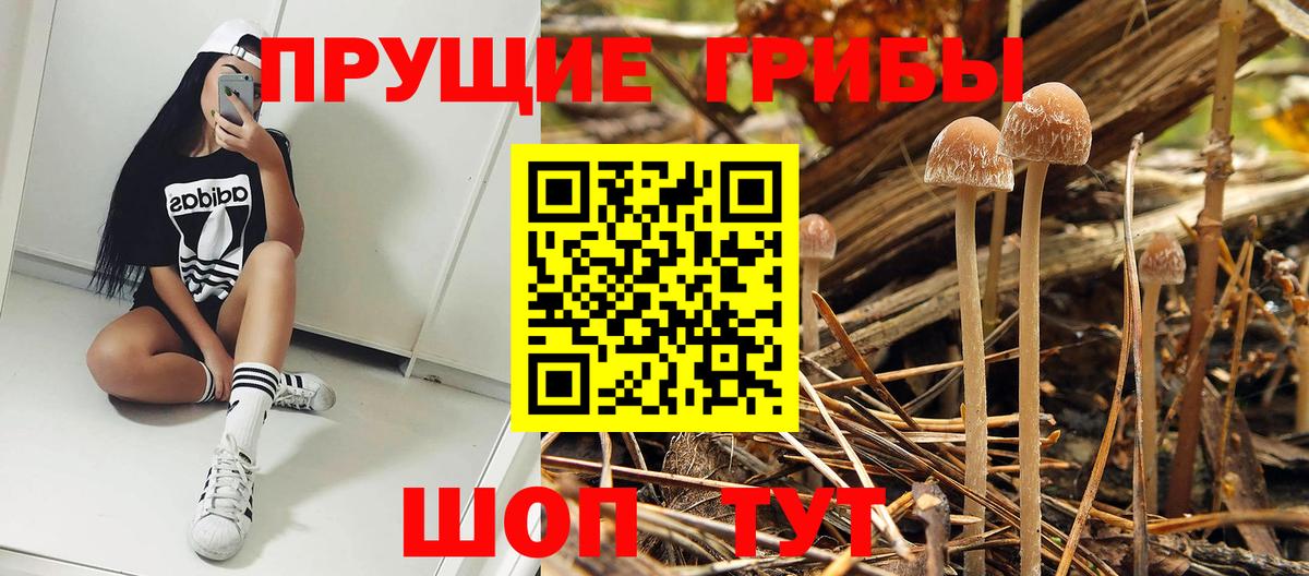 Псилоцибиновые грибы мухоморы Сатка